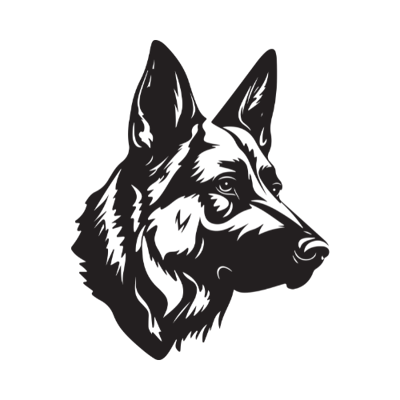 Shepherd - Transparent Logo